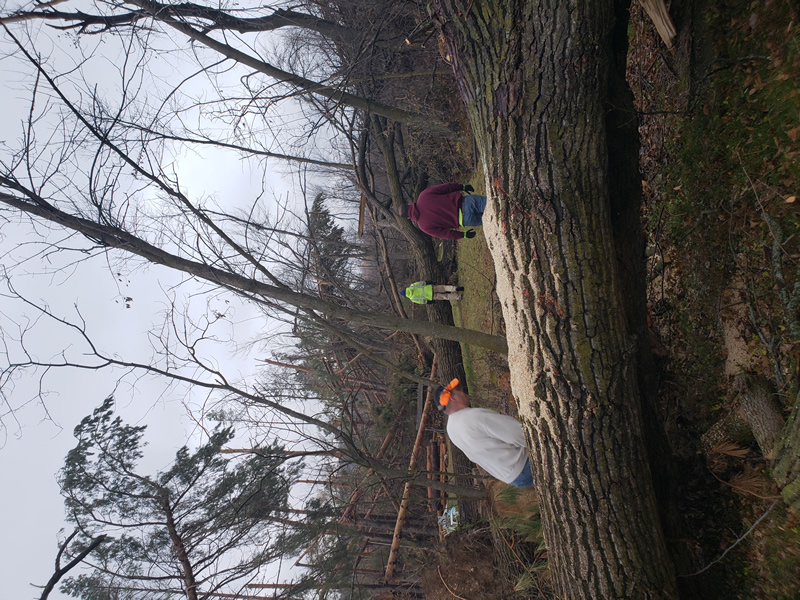 /pictures/Trail Clean Up 2018/20181104_073324.jpg